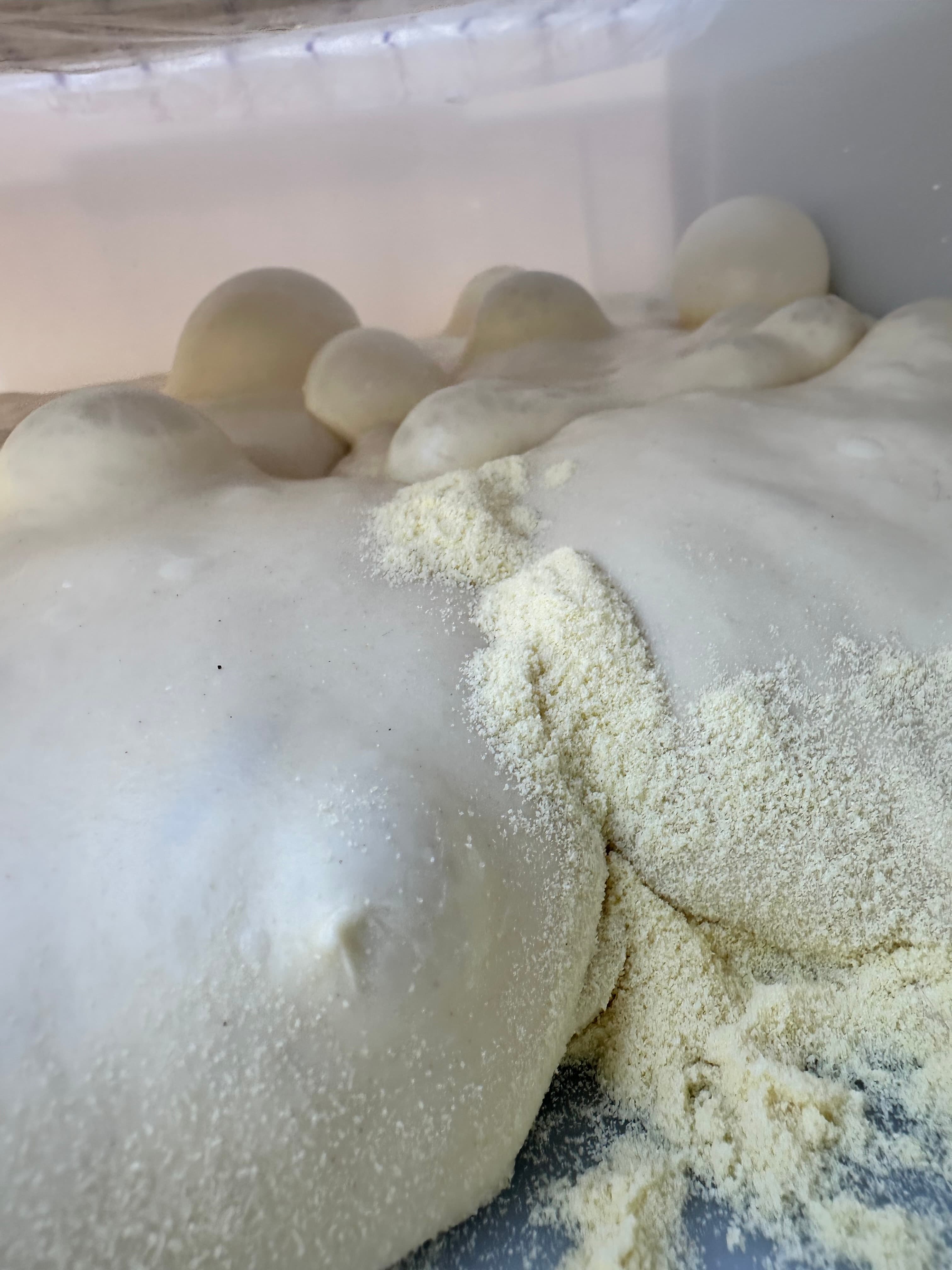 Tretja peka pice - pomembna lekcija o fermentaciji